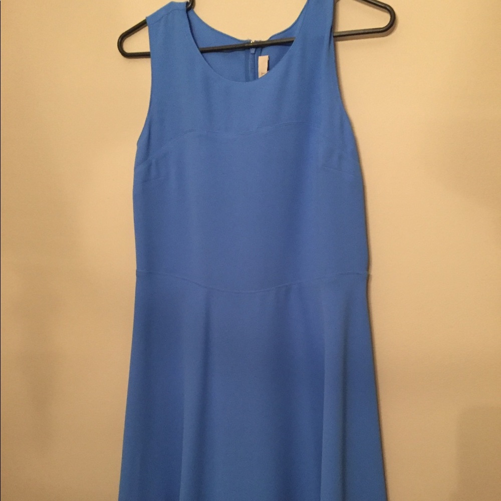 Blue Loft Swing Dress